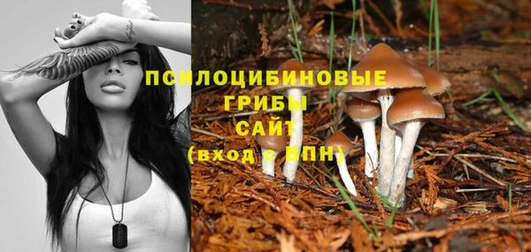 каннабис Магас