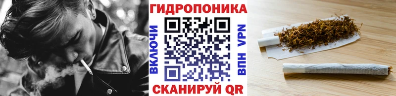 где найти наркотики  дарк нет как зайти  Конопля AK-47  Томари 